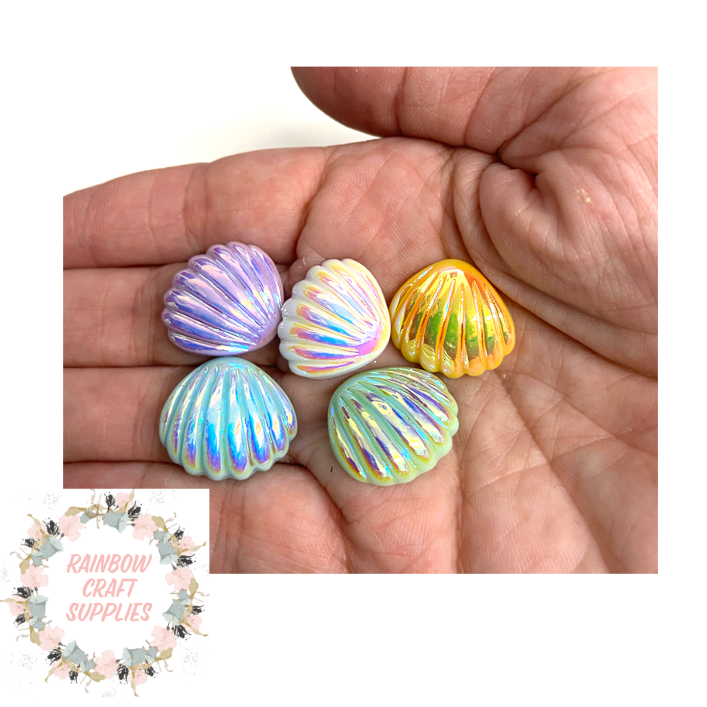 5 x Iridescent coloured sea shell resin flat backs 22mm